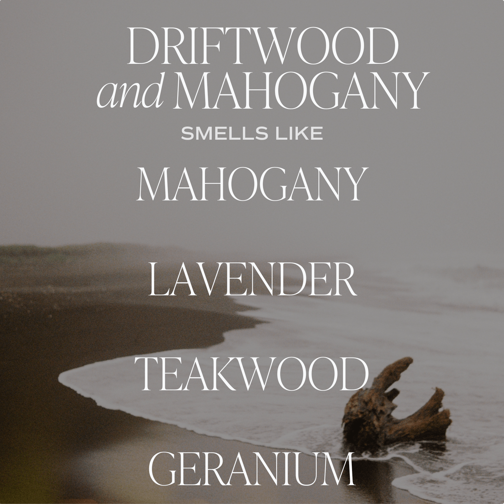 Driftwood and Mahogany Soy Candle (15 oz Brown Matte Jar)