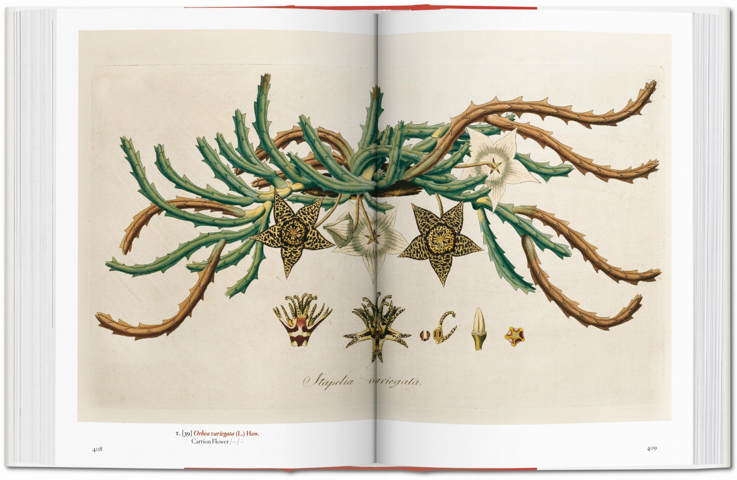 A Garden Eden Art Book
