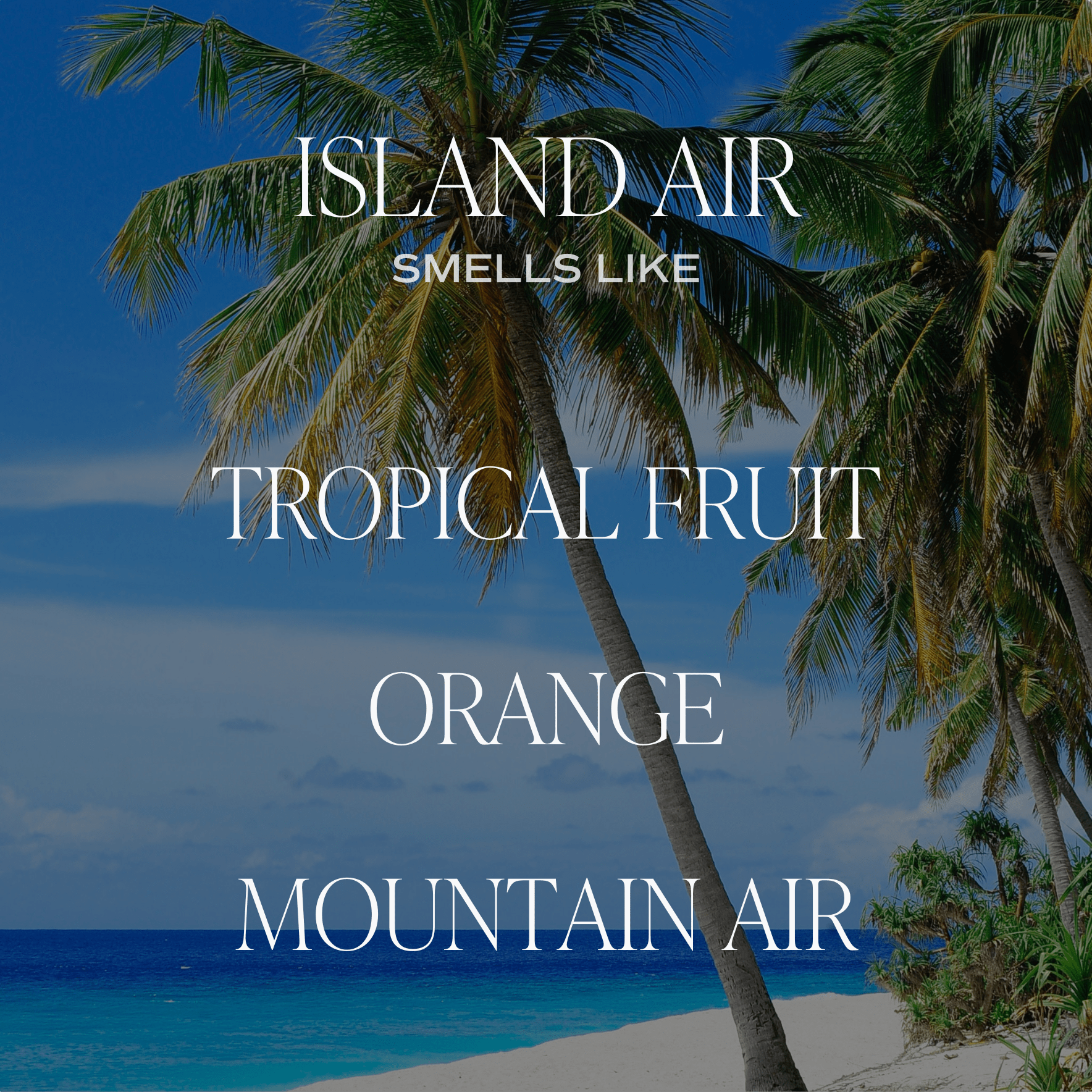 Island Air Soy Candle (15oz Tan Matte Jar)