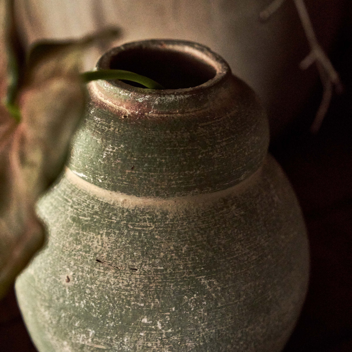 Terra Cotta Bud Vase in Greenwash
