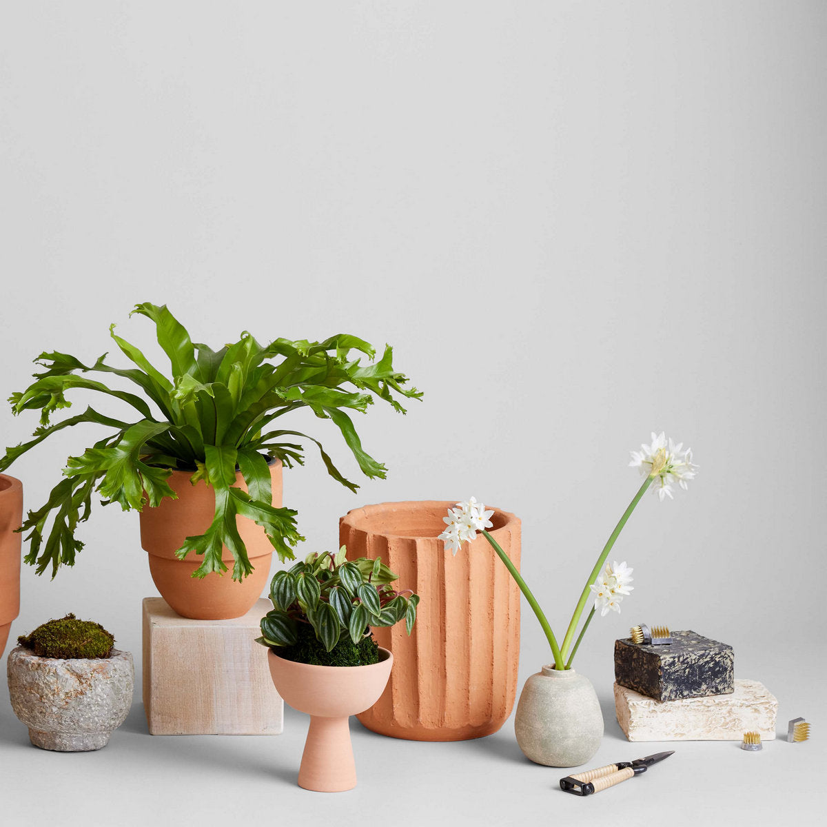 Terra Cotta Bud Vase in Greenwash