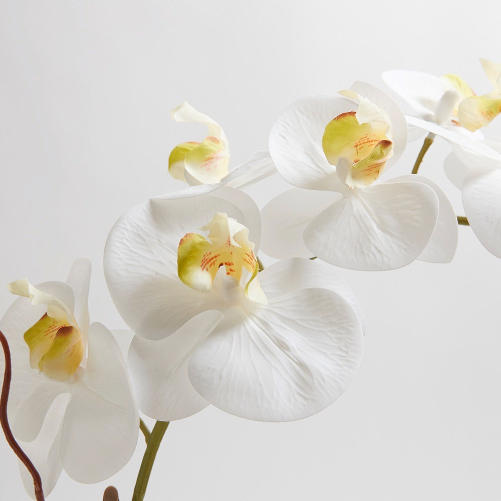 Artificial White Double Stem Orchid in Modern Pot
