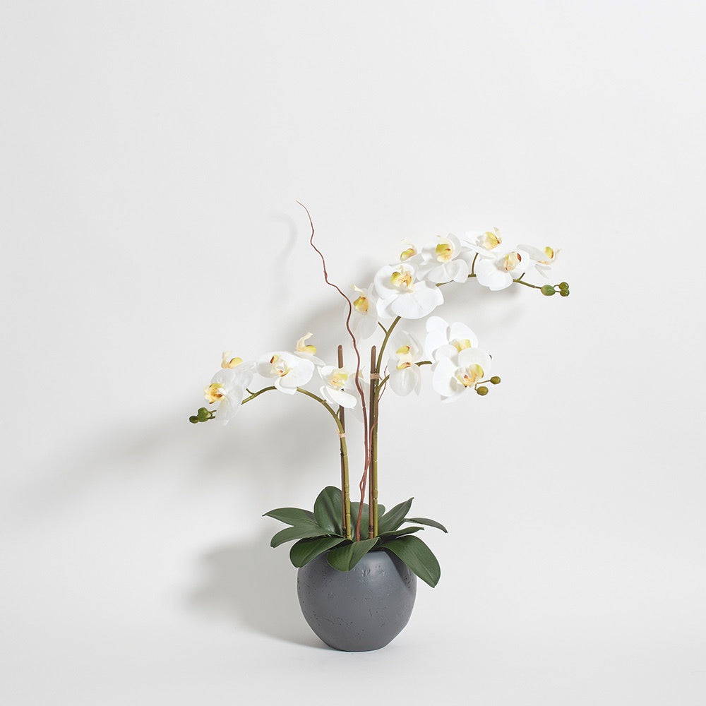 Artificial White Double Stem Orchid in Modern Pot
