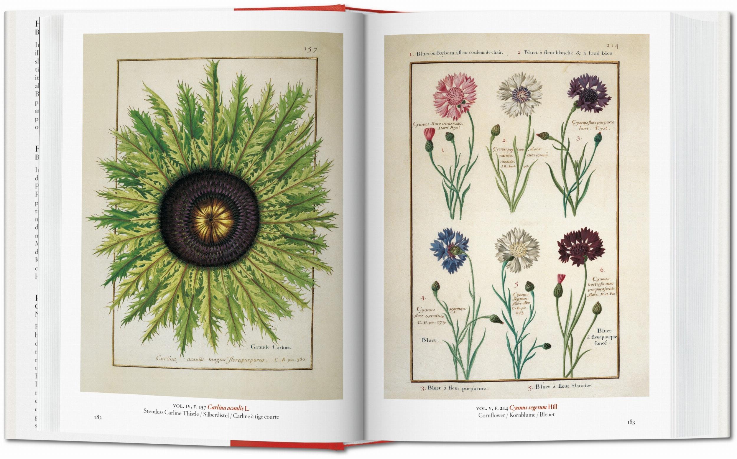 A Garden Eden Art Book