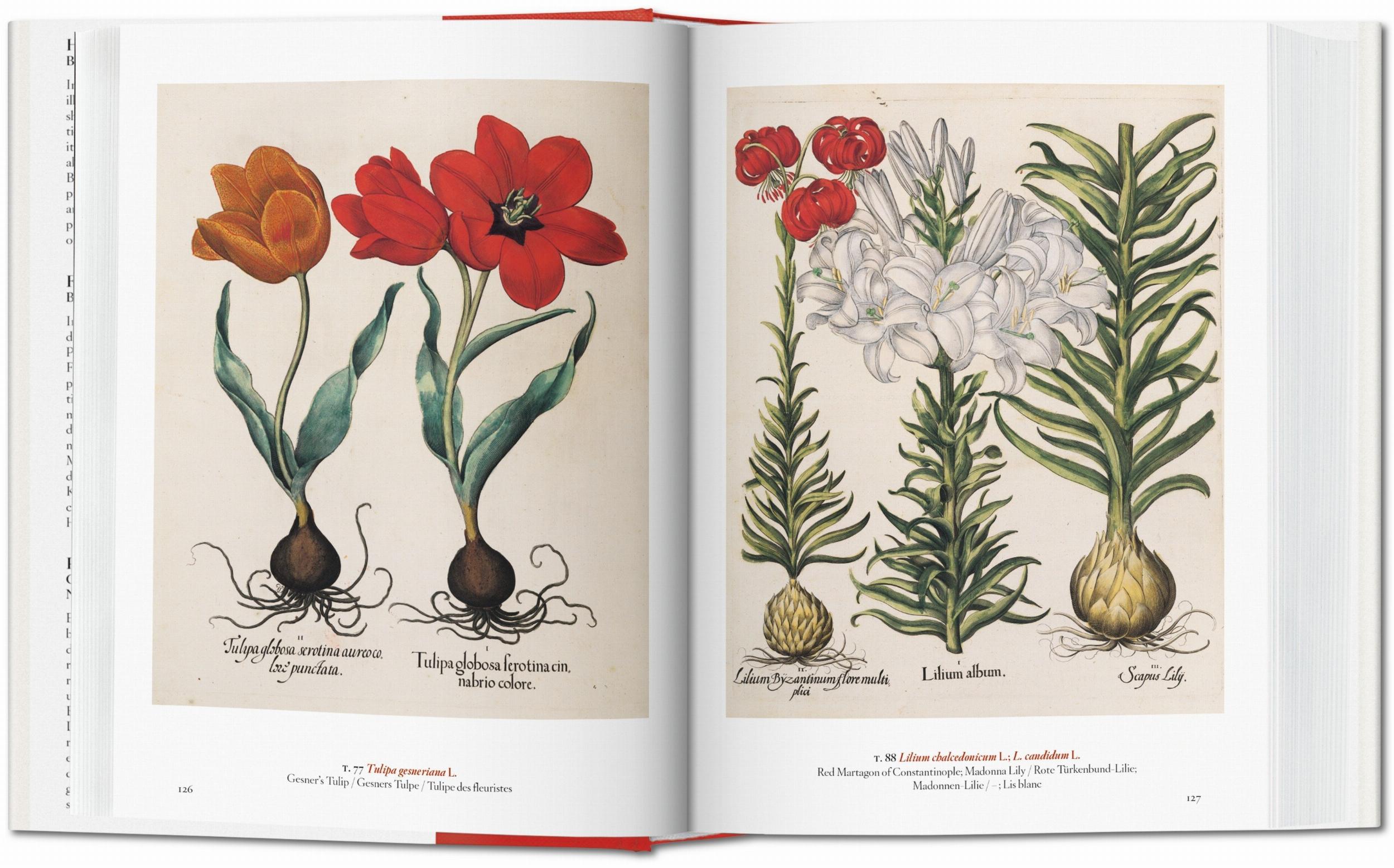 A Garden Eden Art Book
