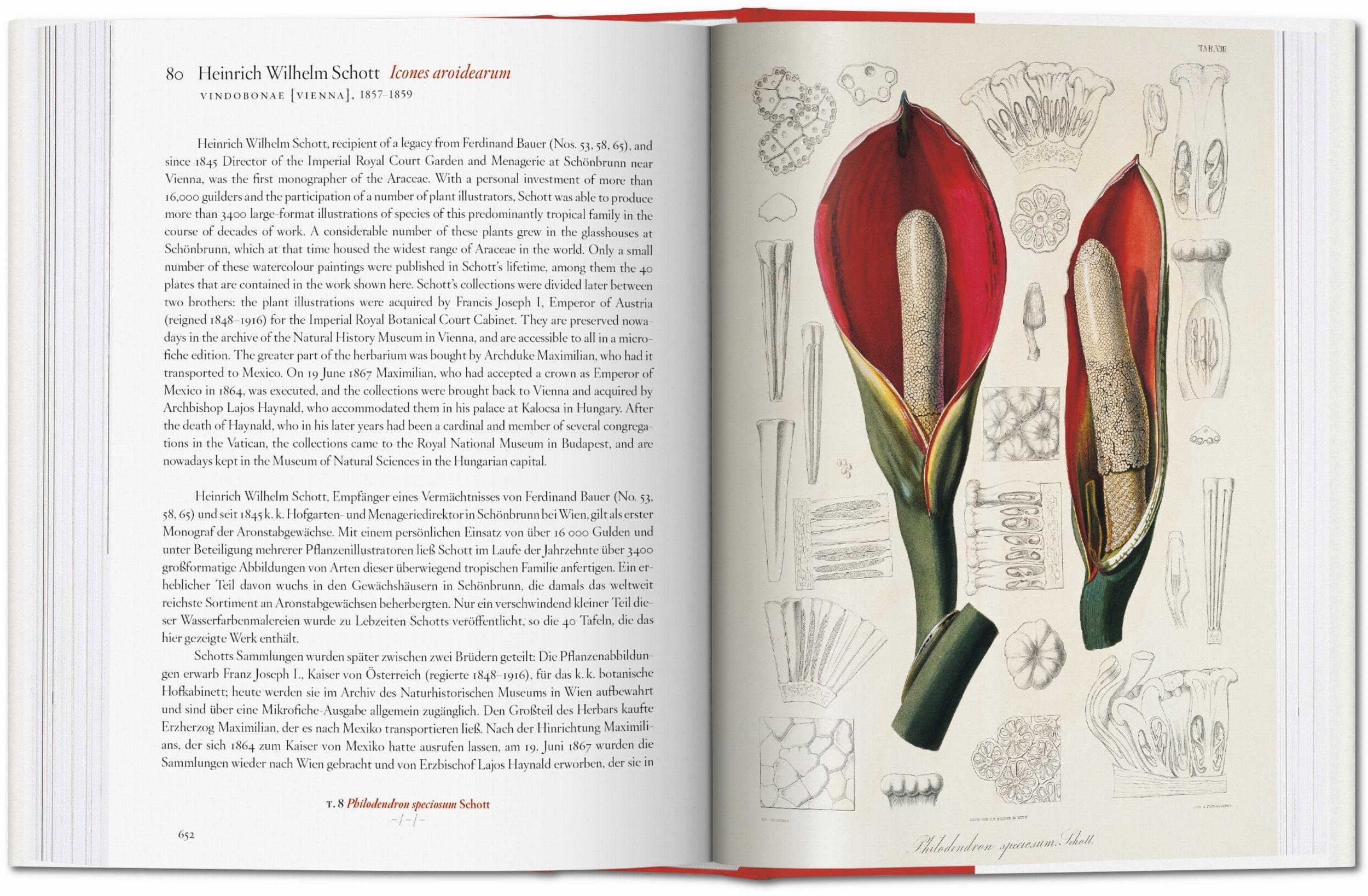 A Garden Eden Art Book
