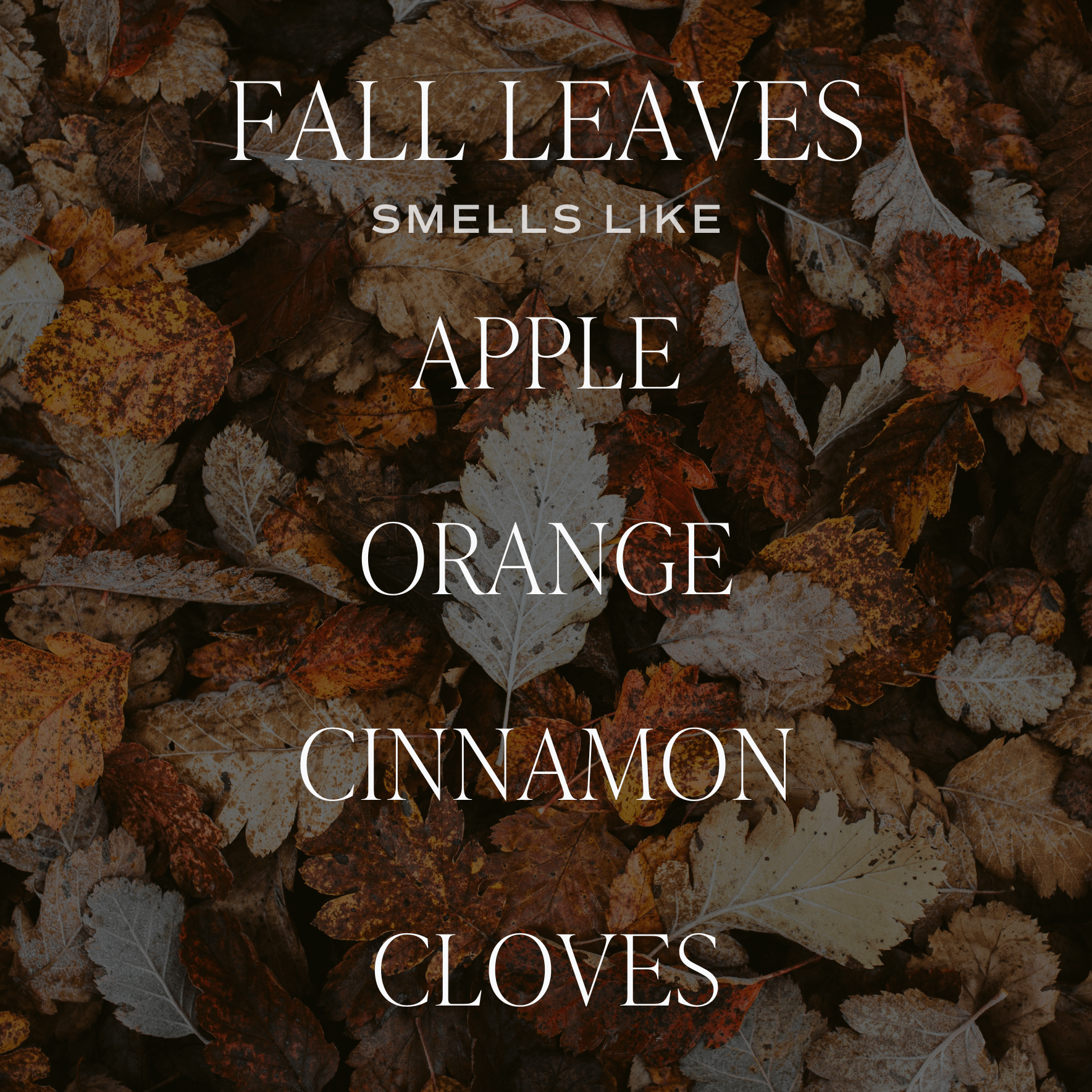 Fall Leaves Soy Candle (15 oz Brown Matte Jar)