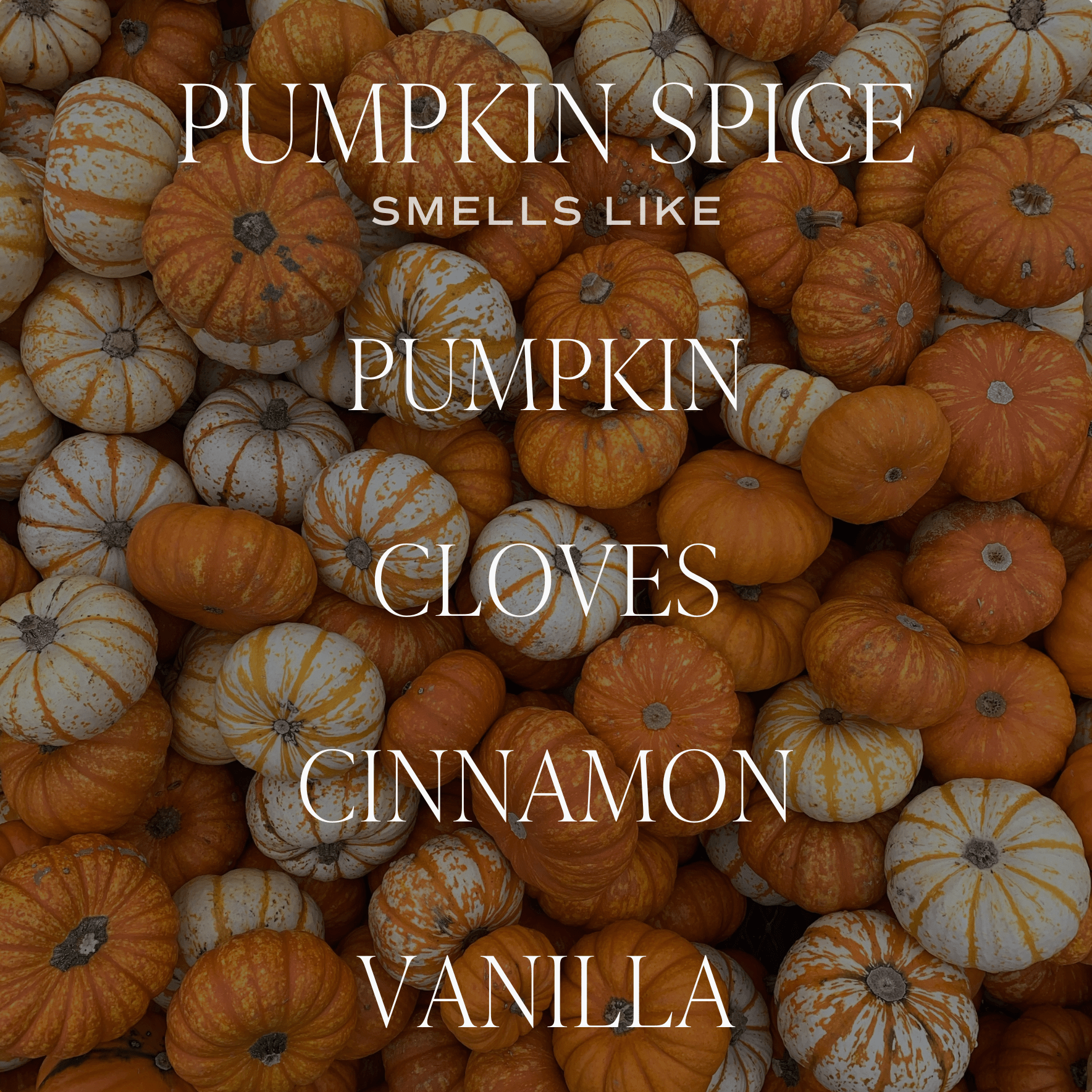 Pumpkin Spice Soy Candle (12 oz Tinted Glass Jar)