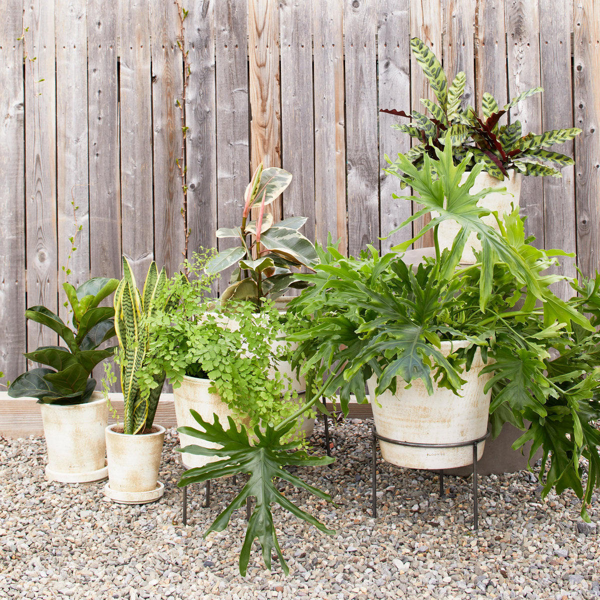Basic Planter, White Patina