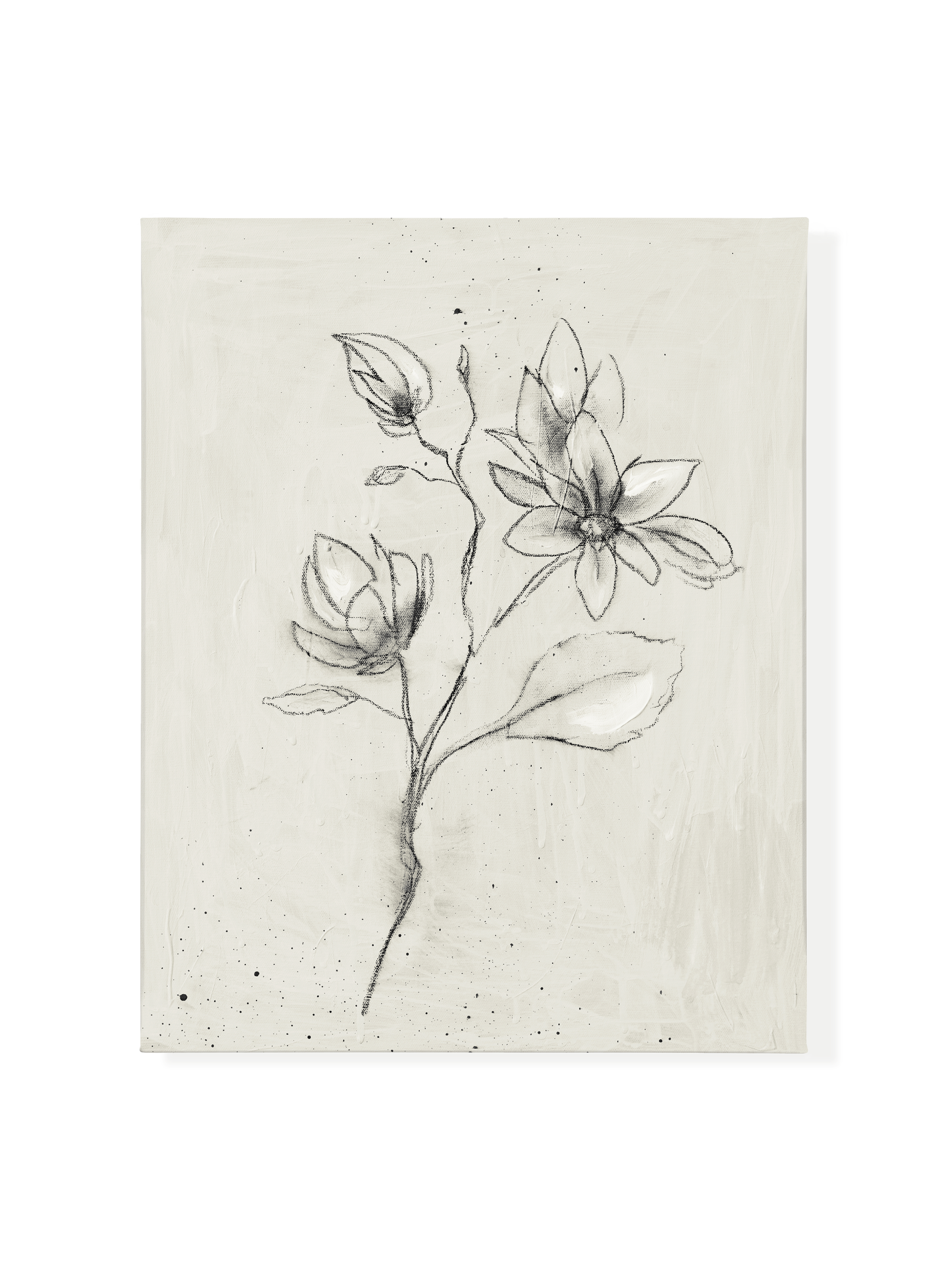Magnolia Stem Sketch Canvas Wall Art