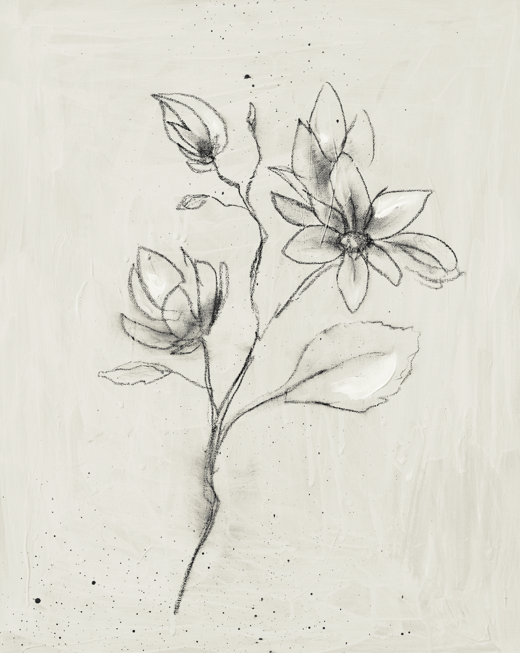 Magnolia Stem Sketch Canvas Wall Art