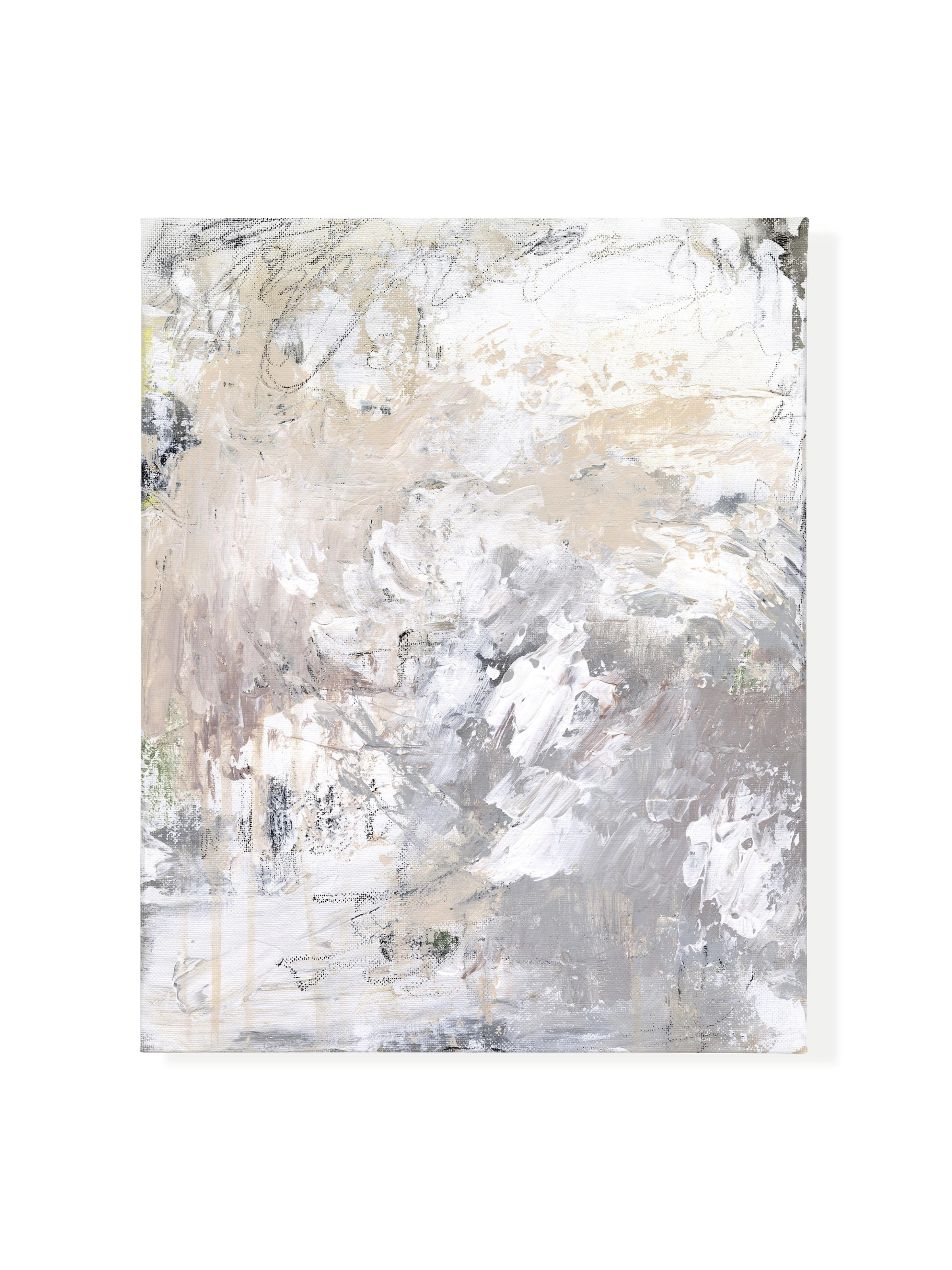 Desert Rose Canvas Wall Art