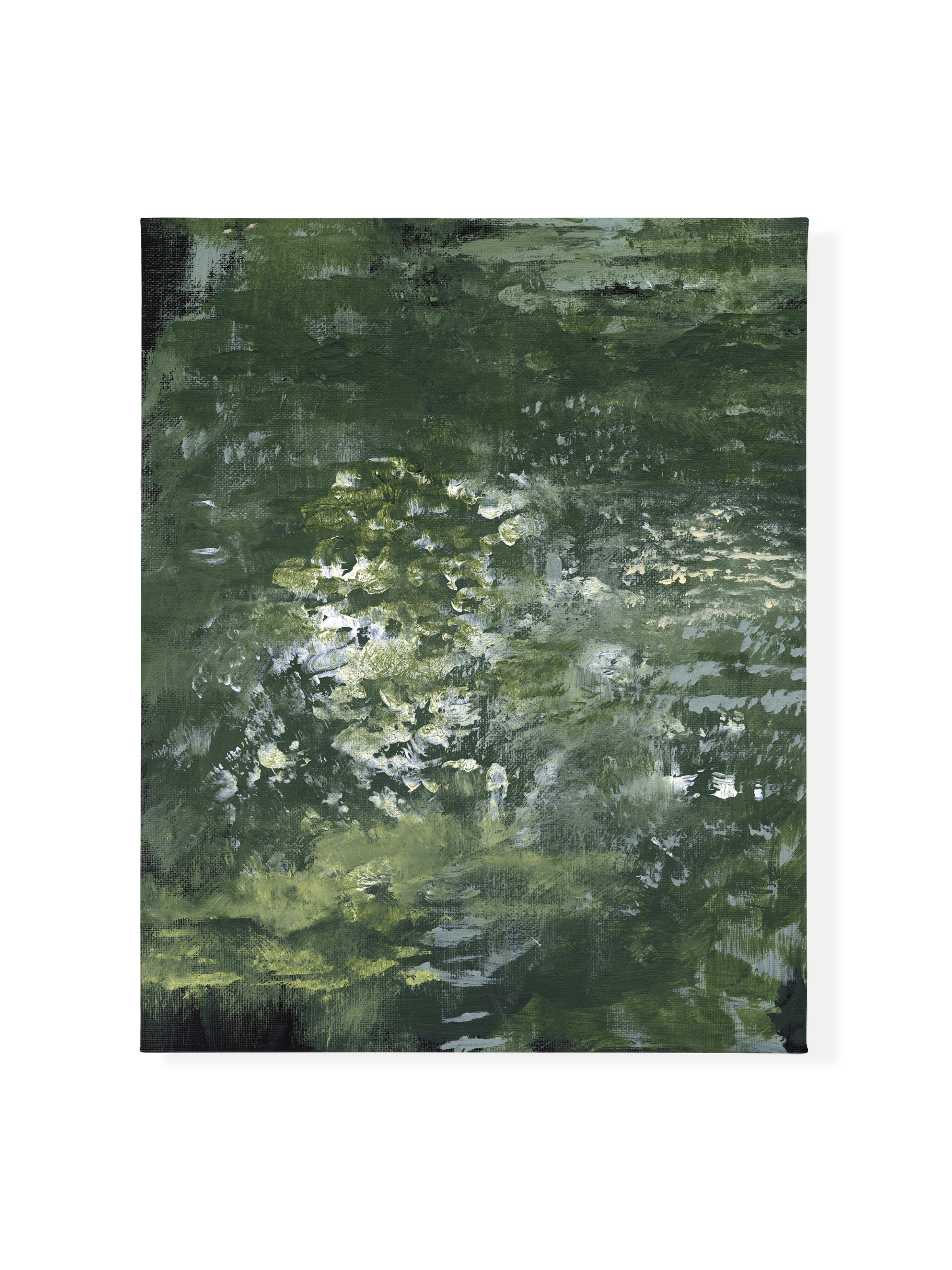 Snake Plant Canvas Wall Art