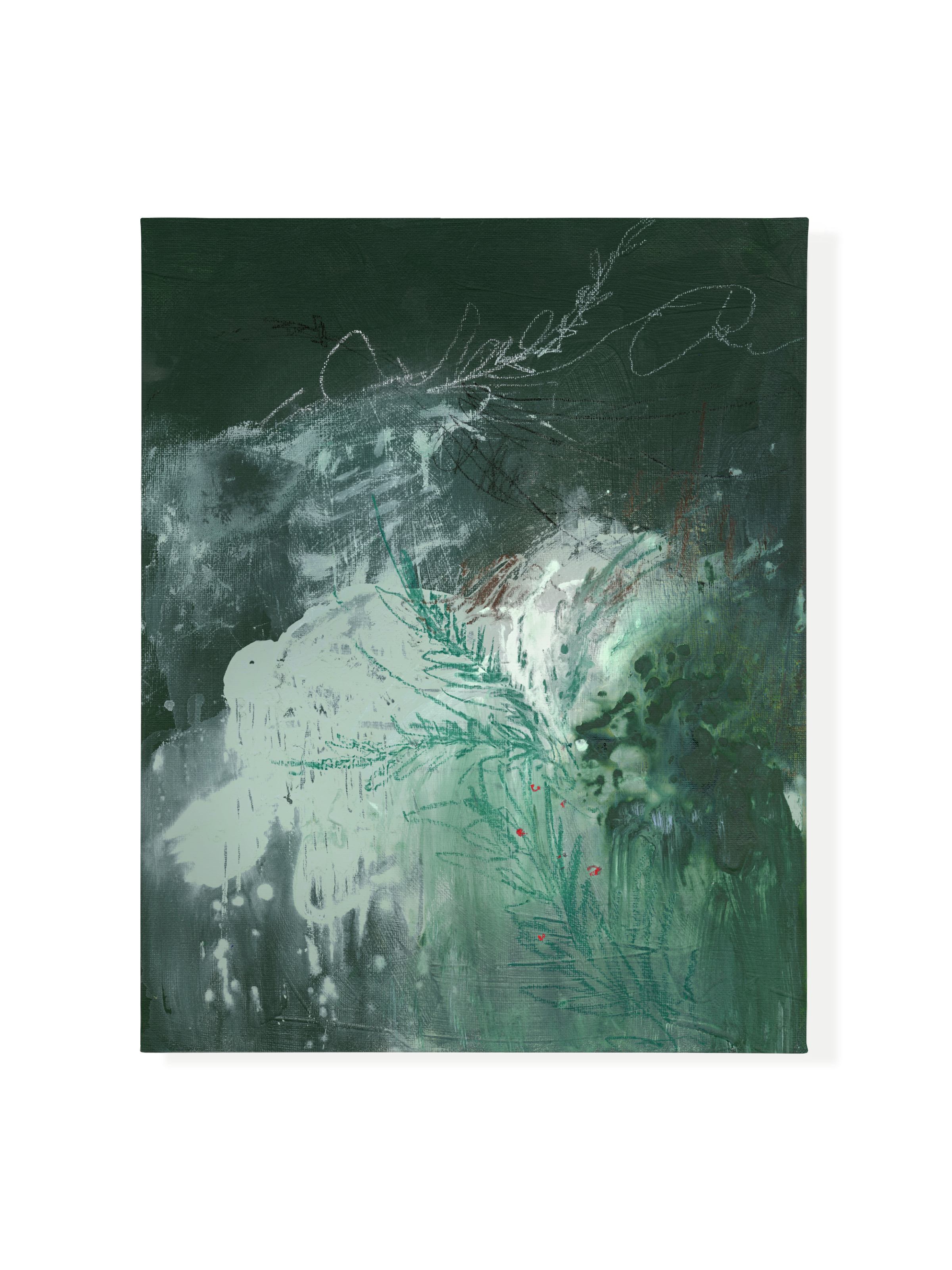Balsam & Berries Canvas Wall Art
